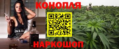 гашик Будённовск