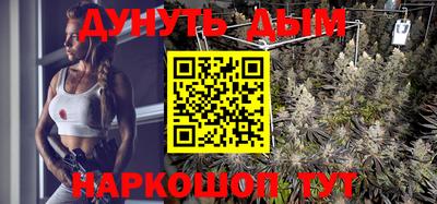 гашик Будённовск