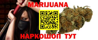 гашик Будённовск