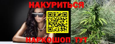 гашик Будённовск