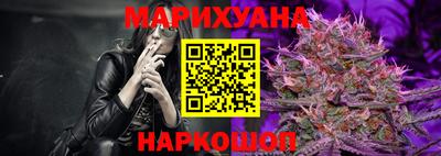 гашик Будённовск