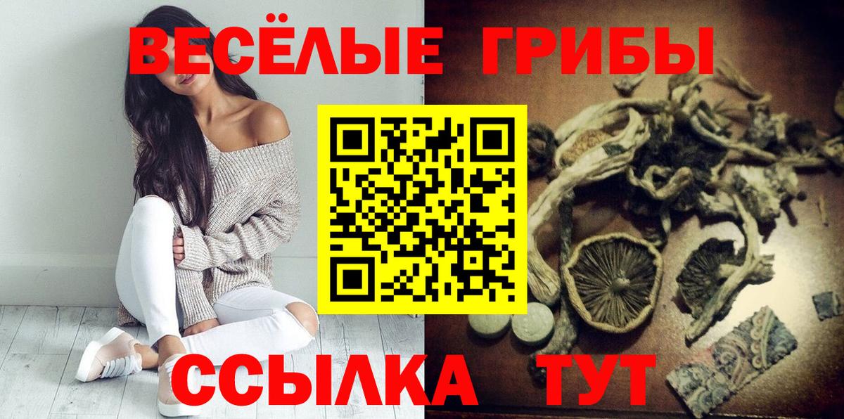 продажа наркотиков  Галлюциногенные грибы Cubensis  Вход с VPN  Морозовск 
